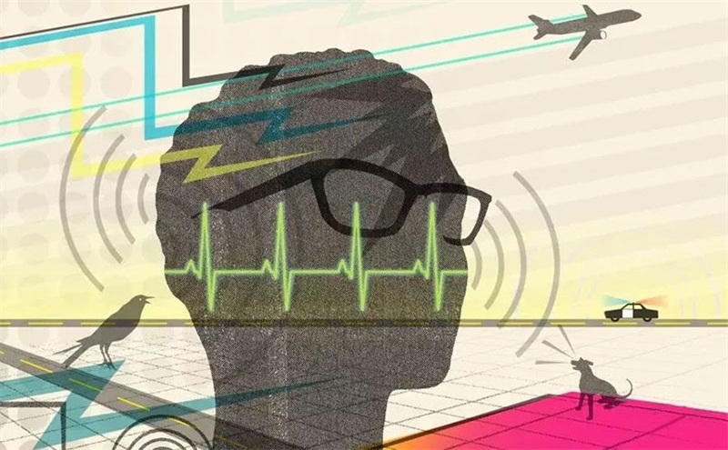 悲劇，聲學處理不好，噪音引發血案